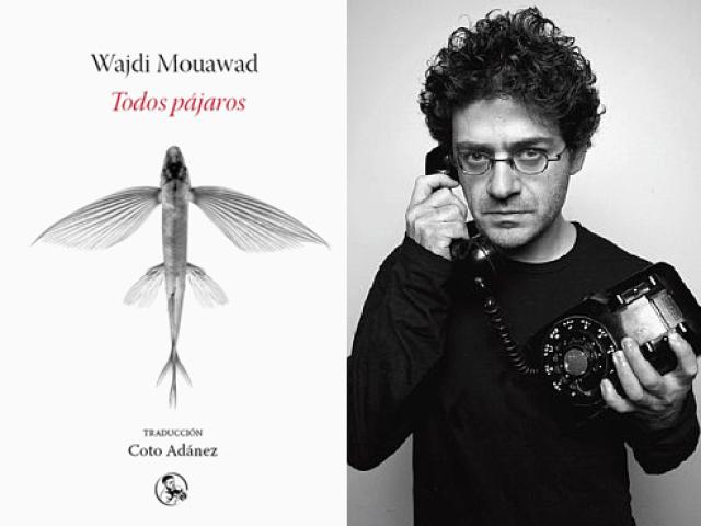 img-todos-los-pajaros