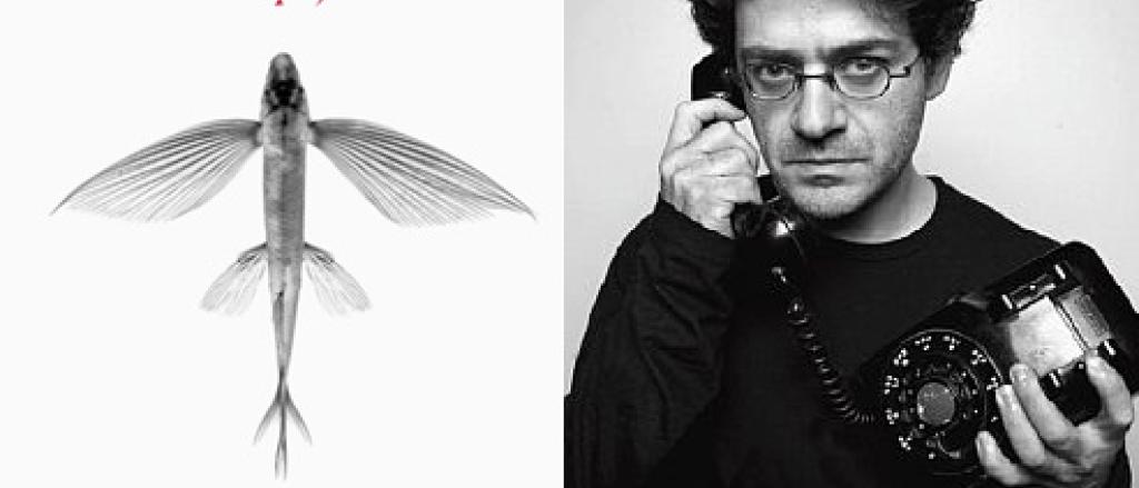 img-todos-los-pajaros