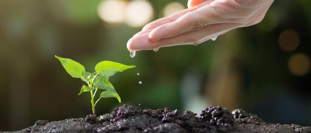 Encíclica ecològica